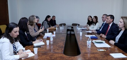 ՄԱԿ-ի Բնակչության հիմնադրամի հետ համագործակցությունը շարունակվում է