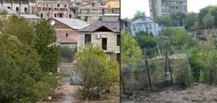 Նոր Նորքում Վիտալի Բալասանյանի կողմից այգին վնասելու համար կիրառվել են պատասխանատվության միջոցներ