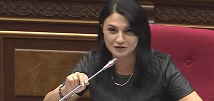 Ինչպե՞ս եք, պարոն Միրզոյան, ինչպե՞ս եք հասցնում․ ՔՊ-ական հոգատար պատգամավորը՝ ԱԳ նախարարին
