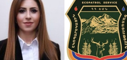 Ամեն այրվող խոտի համար էկոպարեկները պատասխանատու չեն. մանրամասներ