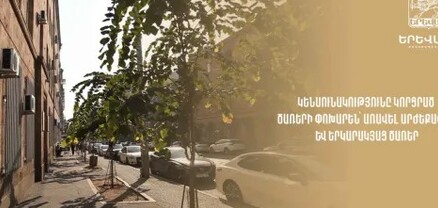 Կենսունակությունը կորցրած ծառերը փոխարինվել են առավել արժեքավոր և երկարակյաց ծառերով