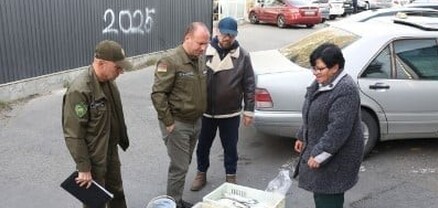 Առգրավված սիգերն ուղարկվում են հատուկ խնամքի կենտրոններ․ ով է ի վերջո ուտում դրանք