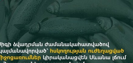 Սիգի ձվադրմամբ պայմանավորված՝ ուժեղացված միջոցառումներ կիրականացվեն