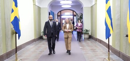 Արարատ Միրզոյանը հանդիպում է ունեցել Շվեդիայի ԵՄ հարցերով նախարար Յեսսիկա Ռոզենկրանցի հետ