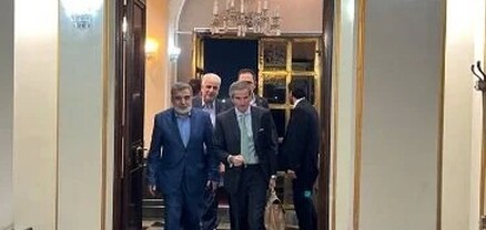 ԱԷՄԳ-ի ղեկավարը ժամանել է Իրան