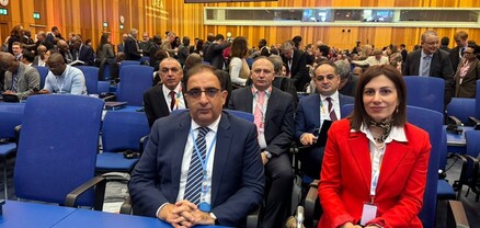 Անահիտ Ավանեսյանի գլխավորած պատվիրակությունը Վիեննայում է