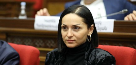 Բնակարան, 2 մլն անկանխիկ, 31 մլն փոխառություն, 12 մլն եկամուտ․ Ծովինար Վարդանյանի ունեցվածքը