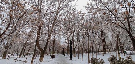Առաջիկա օրերին օդի ջերմաստիճանն աստիճանաբար կնվազի