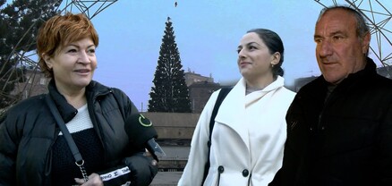 Շենգավիթի թանկ ու անշուք տոնածառը. բնակիչների վերաբերմունքը