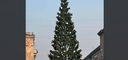 Հին ու չզարդարված տոնածառ․ Շենգավիթի ամանորյա զարդարանքը մոտ 17 մլն արժե