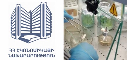 Խառնվելու իրավասություն չունենք․ նախարարությունը՝ պետական ՓԲԸ-ի չվճարված աշխատավարձերի մասին