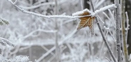 Երևանում և մարզերում սպասվում են տեղումներ