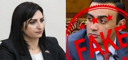 Թագուհի Թովմասյանը Տարոն Չախոյանի «սուտ մատնության» համար դիմել է ՄԻՊ-ին