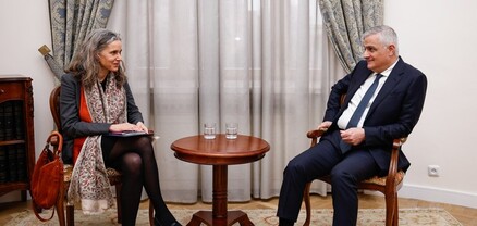 Մհեր Գրիգորյանն ընդունել է Հարավային Կովկասի և Վրաստանում ճգնաժամի հարցերով ԵՄ նորանշանակ հատուկ ներկայացուցչին