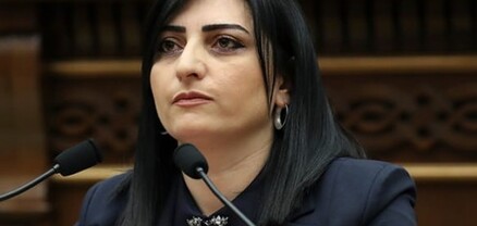 Թագուհի Թովմասյանը գրություն է ուղարկել մի շարք միջազգային կազմակերպությունների