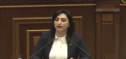 Էս խելքո՞վ եք Եվրամիություն գնում, կտրոնը քաշեք, հերթ կանգնեք. Թագուհի Թովմասյան