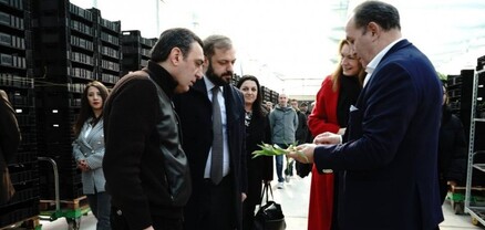 Ինչո՞ւ է էկոնոմիկայի նախարարն այցելել «Սպայկա». Փաստ