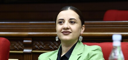 Եղբայրս նկատի է ունեցել «հայաստանցի» և «ղարաբաղցի» բառերը․ Էմմա Պալյանի արդարացումը