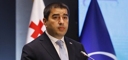 Վրաստանի խորհրդարանի նախագահն արևմտյան ինստիտուտներին մեղադրել է երկերեսանիության մեջ