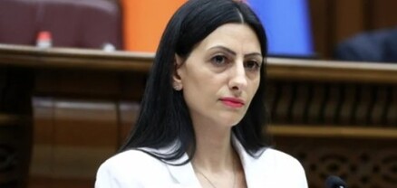 ՄԻՊ-ն արձագանքել է սոցցանցերում տարածում գտած աղմկահարույց տեսանյութին