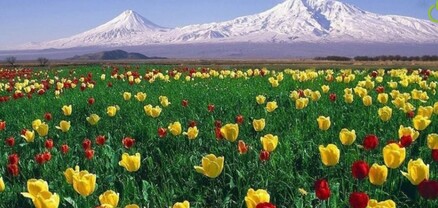 Օդի ջերմաստիճանը մարտի 24-28-ին ցերեկային ժամերին կբարձրանա 11-14 աստիճանով. եղանակն այսօր