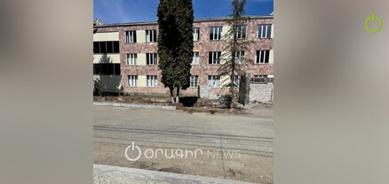 Ծառերի «սպանդ» Դիլիջանում. հսկայական եղևնիները արմատախիլ են արվում և ջարդվում