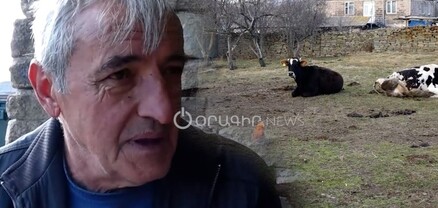 Ջուրը՝ կաթից թանկ. լոռեցի ֆերմերները դժգոհ են