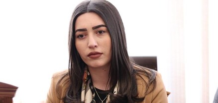 Արփինե Սարգսյանը բացեց բանդայի գործը, բայց հանցագործները փախան երկրից․ Ժողովուրդ