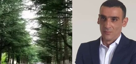 Դիլիջանն այլանդակում են․ փողոցներից հանվում են 15–մետրանոց եղևնիները և վաճառվում