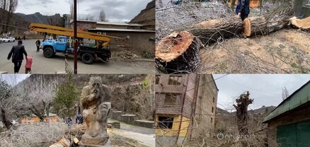 Ծառերի հատում և էտ՝ Ալավերդիում․ բնակիչները վրդովված են
