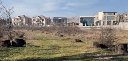 Ծառուղին չկա. Երևանի բուսաբանական այգում մոտ 30 ծառ է հատվել