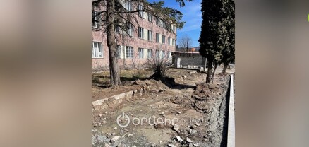 Ամբողջ կոլեկտիվով դեմ էինք ծառերի հատմանը, բայց չկարողացանք պայքարել. Դիլիջանի երաժշտական դպրոցի տնօրեն
