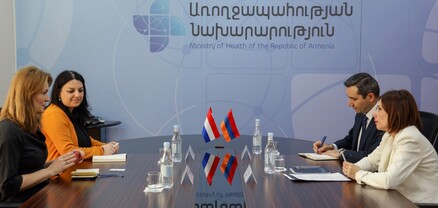 Անահիտ Ավանեսյանն ու Նիդերլանդների դեսպանը քննարկել են բժշկագիտության ոլորտի առաջընթացը