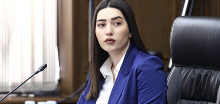 Ինչու չի՞ պատժվել քաղաքացուն բռնության ենթարկած ոստիկանը. ՆԳ նախարարի պարզաբանումը