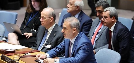 Միջազգային հանրությունը պետք է Իսրայելին ստիպի խաղաղության հասնել Գազայում. Ֆիդան