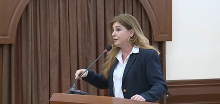 Բա Ձեզ ո՞վ պետք է տուգանի, պարոնա՛յք․ Իզաբելլա Աբգարյան