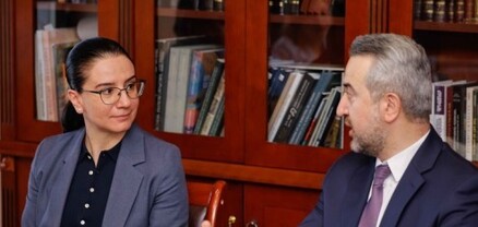 Մատենադարանում Աննա Վարդապետյանի մասնակցությամբ խորհրդակցություն է տեղի ունեցել