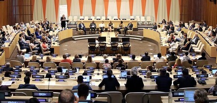 Հայաստանն ընտրվել է UNDP, UNFPA, UNOPS գործադիր խորհրդի անդամ