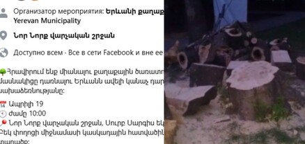 Նոր Նորքում մոտ 100 ծառ կտրելուց հետո որոշել են ծառատունկ անել