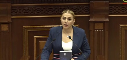 Վարչապետի շարասյունը մի ամբողջ բանակ է հիշեցնում. Էլինար Վարդանյան