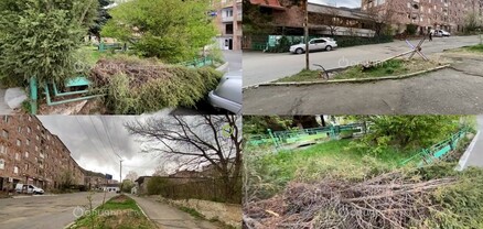 Անխնամ ու կոտրված ծառեր, հողաթմբերով սիզամարգեր, ընկած ցուցանակներ. տուրիստական Ալավերդու դեմքը 