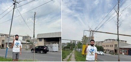 Նոր Նորքի Միկոյան փողոցում «ողջ մնացած» 13 ծառերից 3-ը ևս «մահամերձ են»