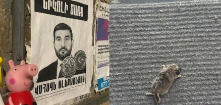 Սատկած մուկ՝ ԱԺ պատգամավորի դռան դիմաց