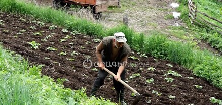 Որ չիմ գեղիցը փախչեն, տասը տարի յեդը գեղումը մարդ չի մնա. Շամուտը դատարկվում է