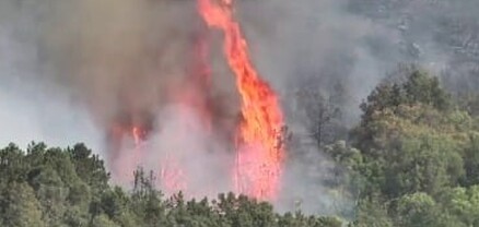 Խոշոր հրդեհ Խոսրովի անտառում
