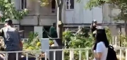Կրկին ծառերի «հունձ» Երևանի կենտրոնում․ Քրիստինա Վարդանյան