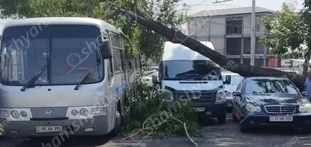 Արտակարգ դեպք՝ Երևանում․ հաստաբուն ծառից ճյուղը կոտրվել և ընկել է կայանված մեքենաների վրա