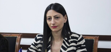 ՄԻՊ-ն ընդգծել է ԱՀԿ հետ համագործակցության խորացման կարևորությունը
