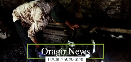 Նիկո՛լ, քիչըմ կաթի գինը բարձրացրու. լոռեցու խնդրանքը Փաշինյանին