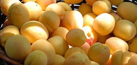 Հունիսի 1-ից հուլիսի 24-ը ՌԴ տարածք է մտել 2240 ծիրանով բեռնված բեռնատար․ նախարար